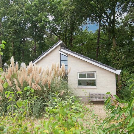 Elite Holiday Home In North Holland Near Forest Schoorl Extérieur photo